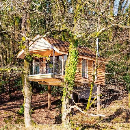 Finest Retreats - The Tree House - Eco-Friendly, Back To Nature Experience Germansweek Luaran gambar