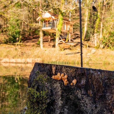 Finest Retreats - The Tree House - Eco-Friendly, Back To Nature Experience Germansweek Luaran gambar